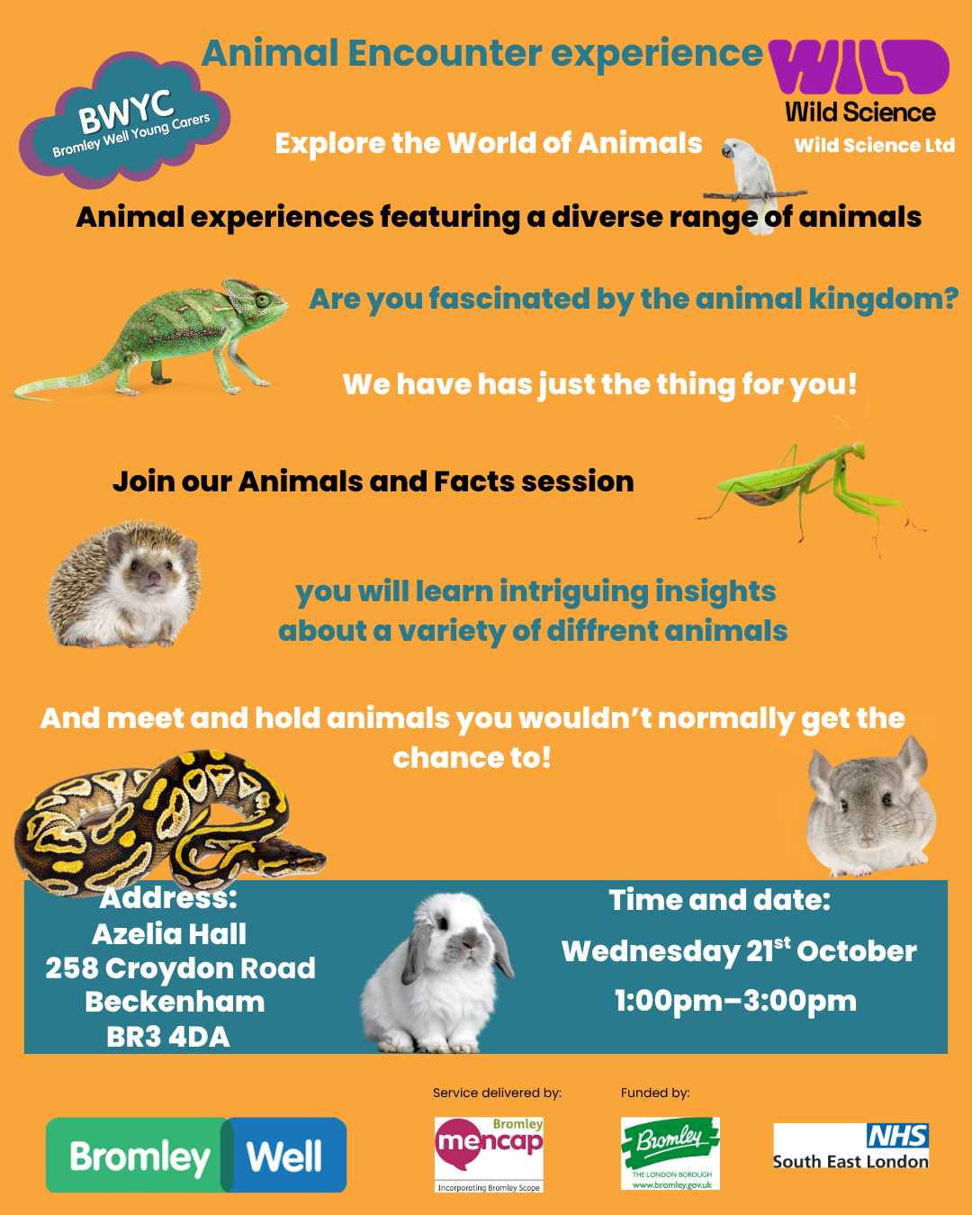 posters for animal encounter experience event for young carers