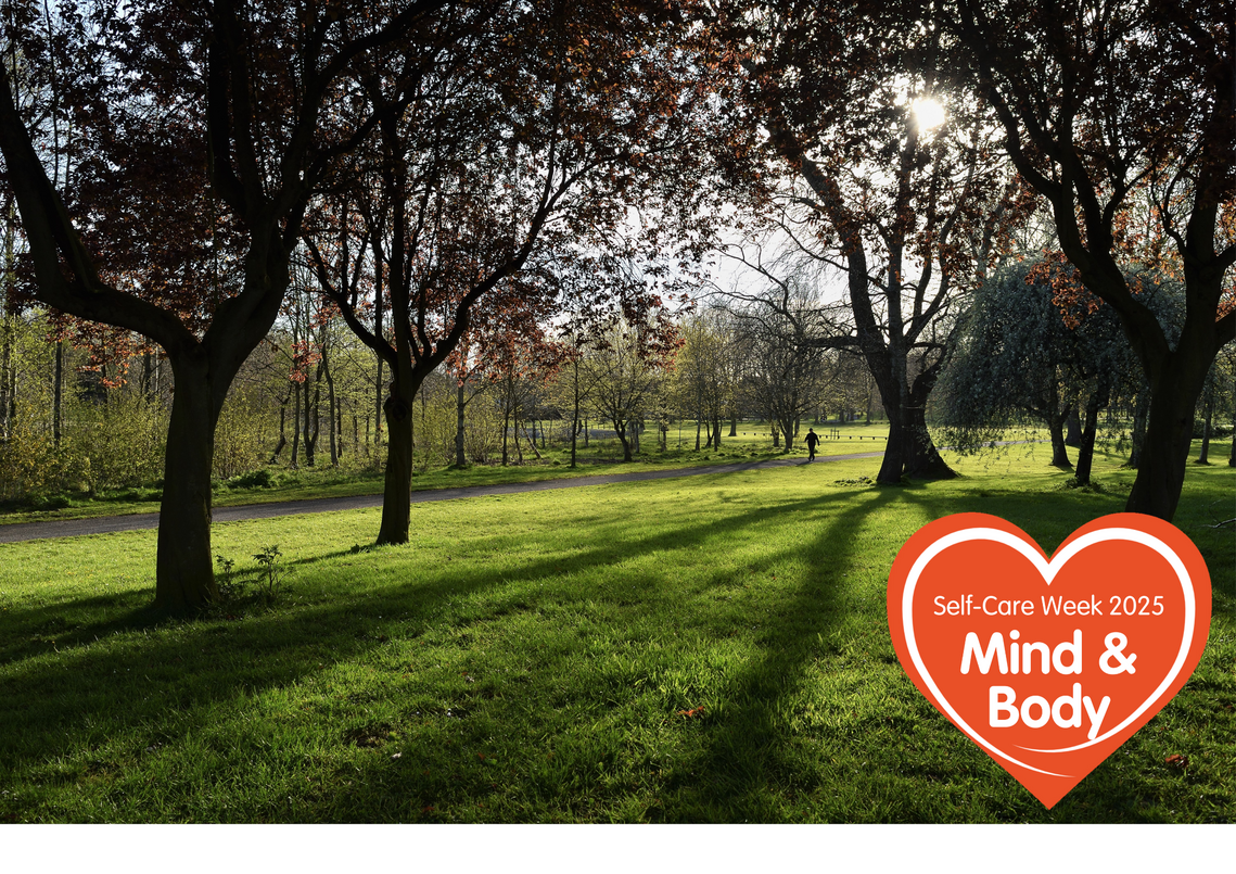sunlit green park with lawns, trees and one walker