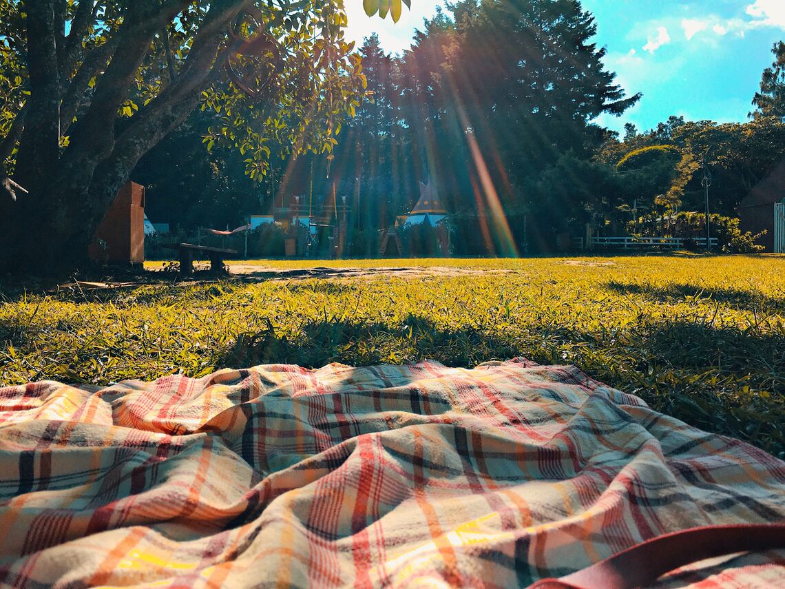 A red check blanket spread out on the grass in a park with a tree and sunshine in the background