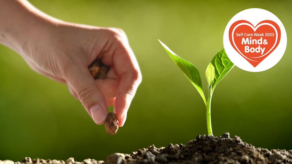 hand puts a seed into soil next to a young plant aleady growing