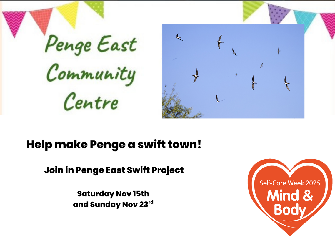 poster for swift project showing swifts flying in blue skies