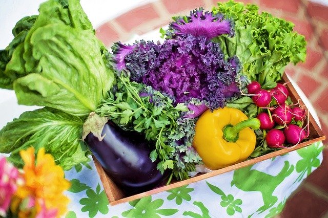 Veg Photo