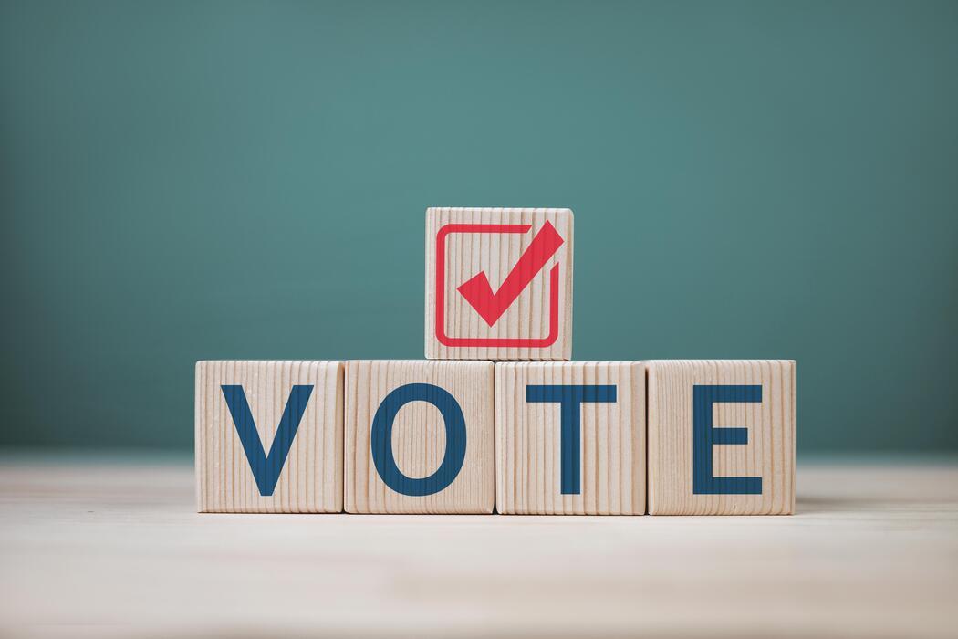 voting LD workshop image