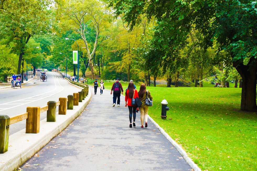 Group shot of people walking in the park