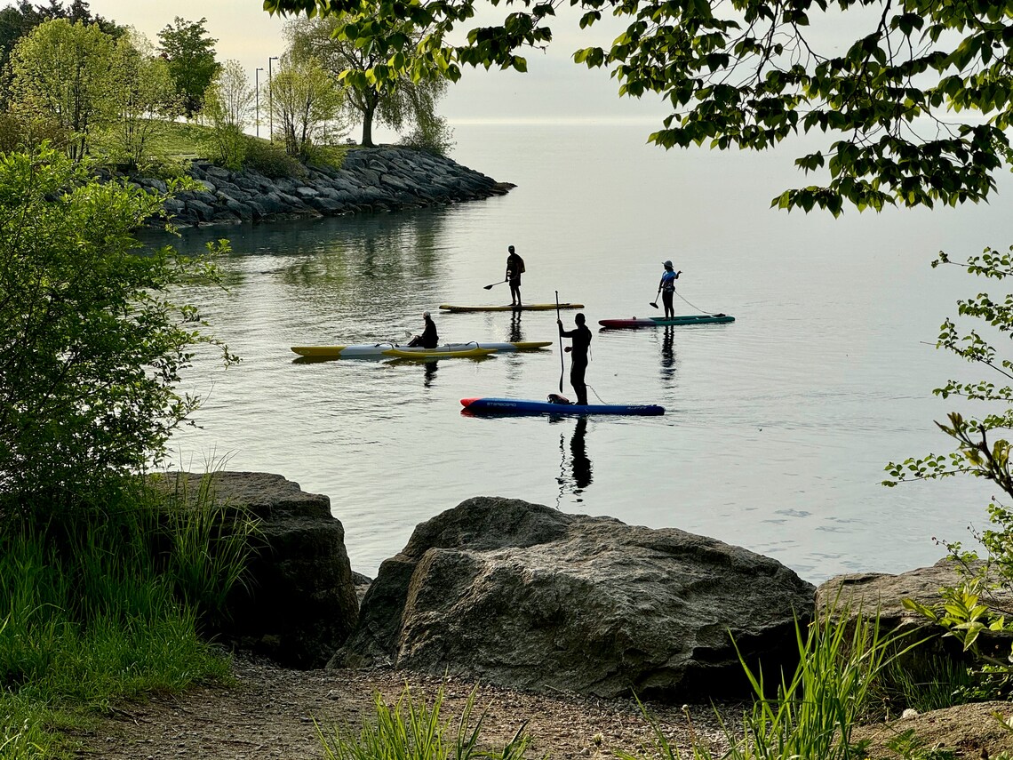 Four individuals in shadow paddle boarding on a lake surrounded by trees and rocks