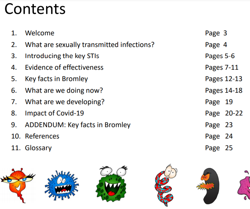 contents page of report